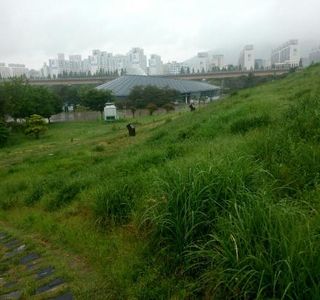 Daeseong-dong Ancient Tomb