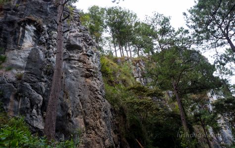 Echo Valley 1