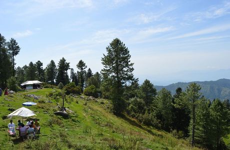 Thandiani