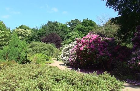 Arboretum Belmonte