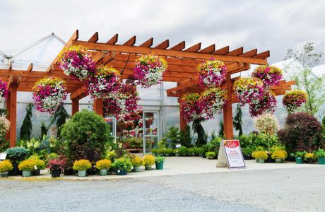 Out in the Garden Nursery