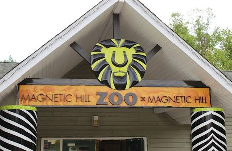Magnetic Hill Zoo