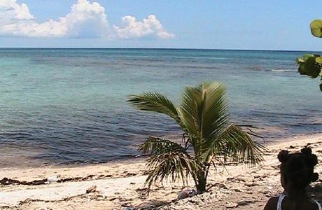 Playa Caleta La Romana