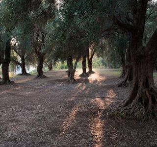 Le Parc Du Pian