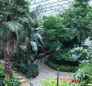 Zhongshan Botanical Garden