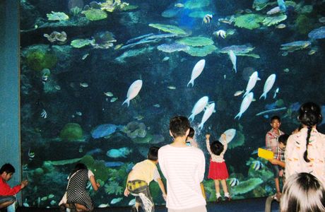 Tropical Ocean World