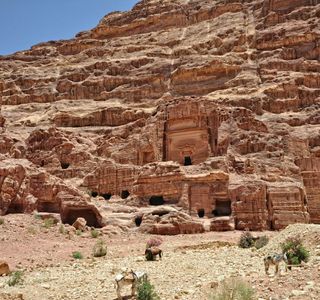 Petra Kitchen