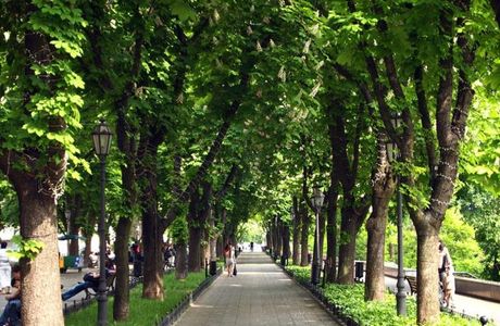Primorsky Boulevard