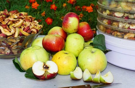 Apple Garden