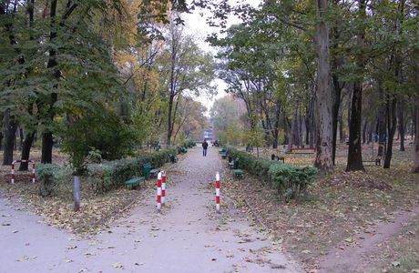 Gradina Publica