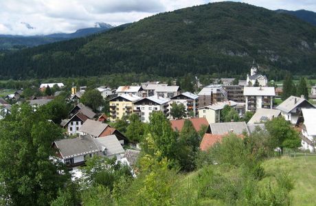 Vodnik Viewpoint