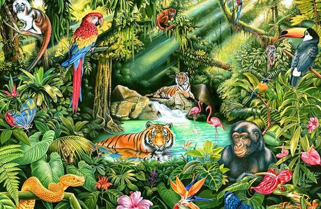 Jungle gemz