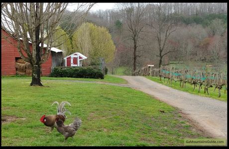 Crane Creek Vineyards