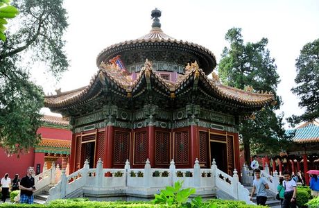The Imperial Garden of The Palace Museum