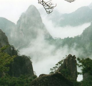 Zhao Bi Huai Gu