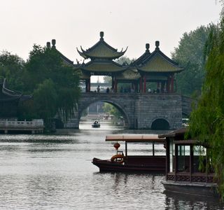 Wang's Little Garden
