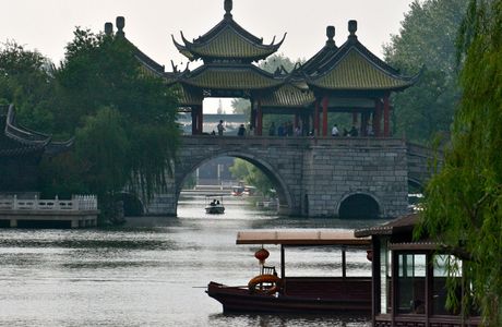 Wang's Little Garden