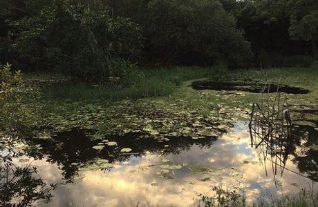Guan Du Nature Park