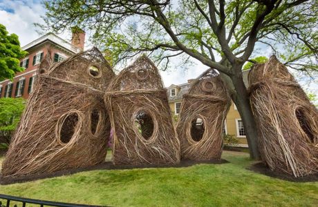 Patrick Dougherty