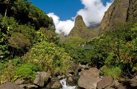 Hawaii Nature Center of Iao Valley