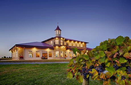 WineHaven Winery and Vineyard