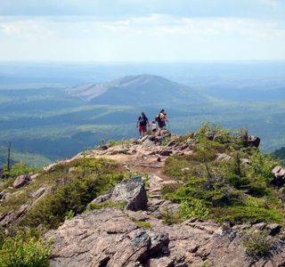 Nackawic Nature Trail