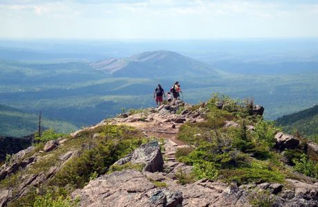 Nackawic Nature Trail