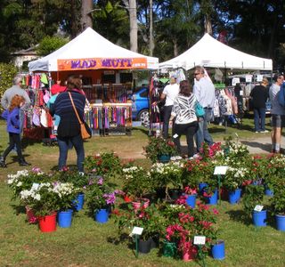 Tamborine Mountain State School Markets