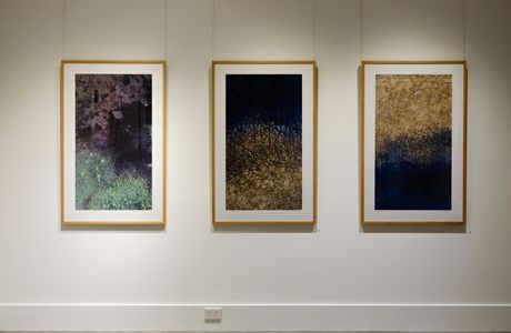Lone Goat Gallery