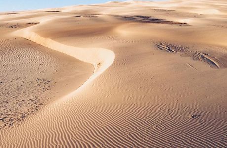 Stockton Sand Dunes