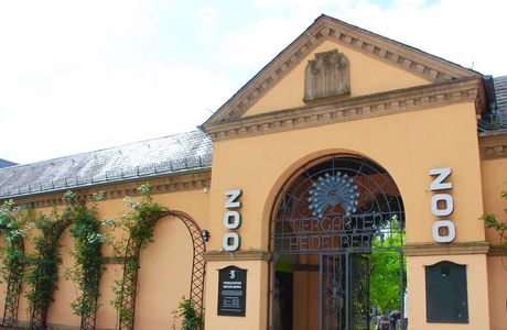 Zoo Heidelberg