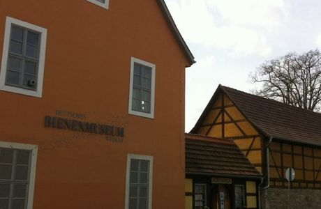 Deutsches Bienenmuseum