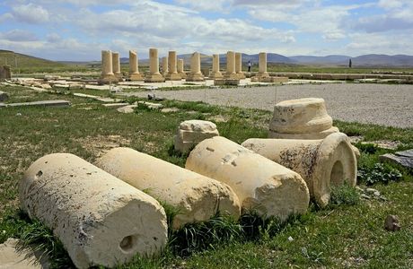 Pasargadae, Pasargad
