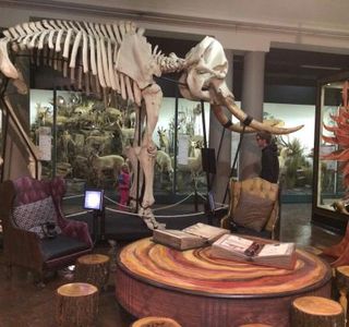 KwaZulu-Natal Museum