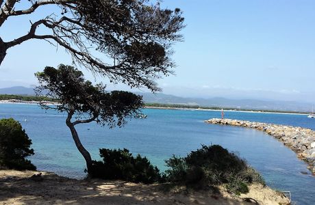 Pineta di Candiani