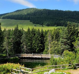 Giardino Botanico Alpino Chanousia