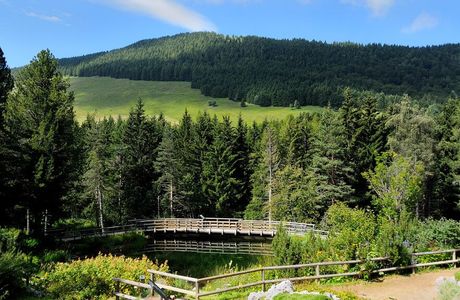 Giardino Botanico Alpino Chanousia