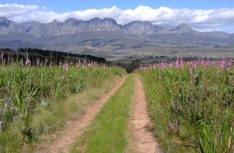 Helderberg Nature Reserve