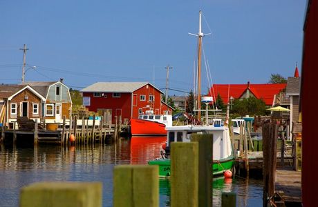 Gin Cove Walking Trail