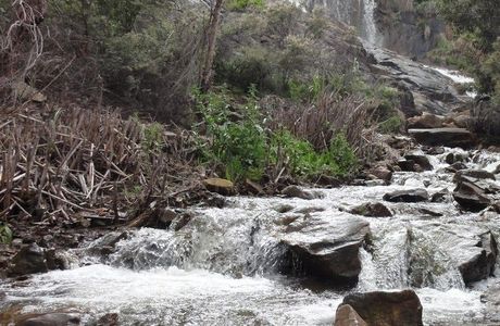 Lesmurdie Falls