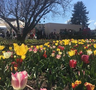 The Corbett Gardens