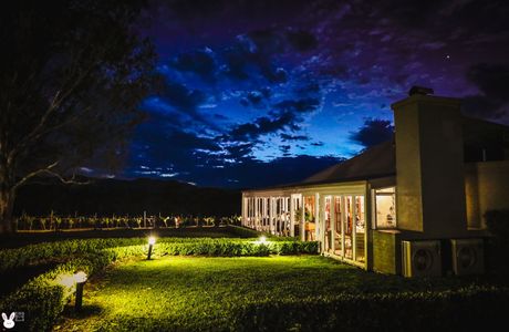 Pokolbin Estate Vineyard