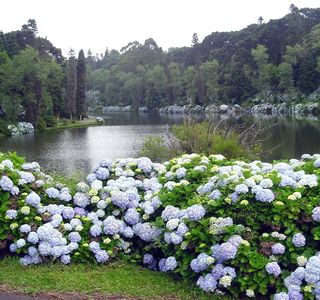 Artesanato Lago Negro