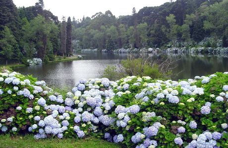 Artesanato Lago Negro