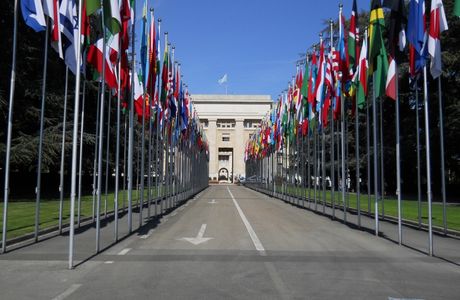 Avenue Des Nations Unies