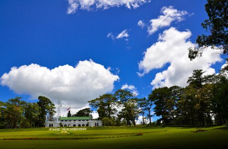 The Mansion