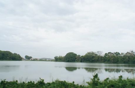 Gatun Lake