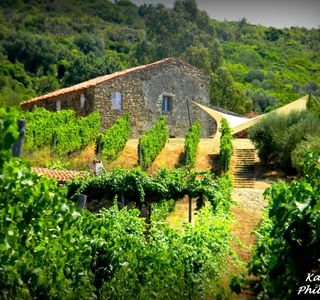 Azienda Agricola Passo Della Palomba