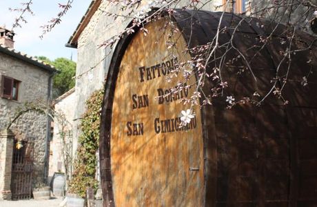 Fattoria San Donato