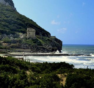 Paradisi